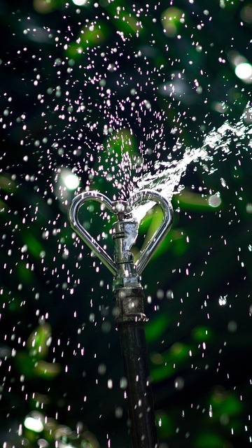 Water pump system diagram